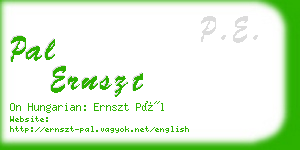 pal ernszt business card